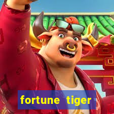 fortune tiger cassino pix